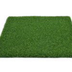 Putt Pro