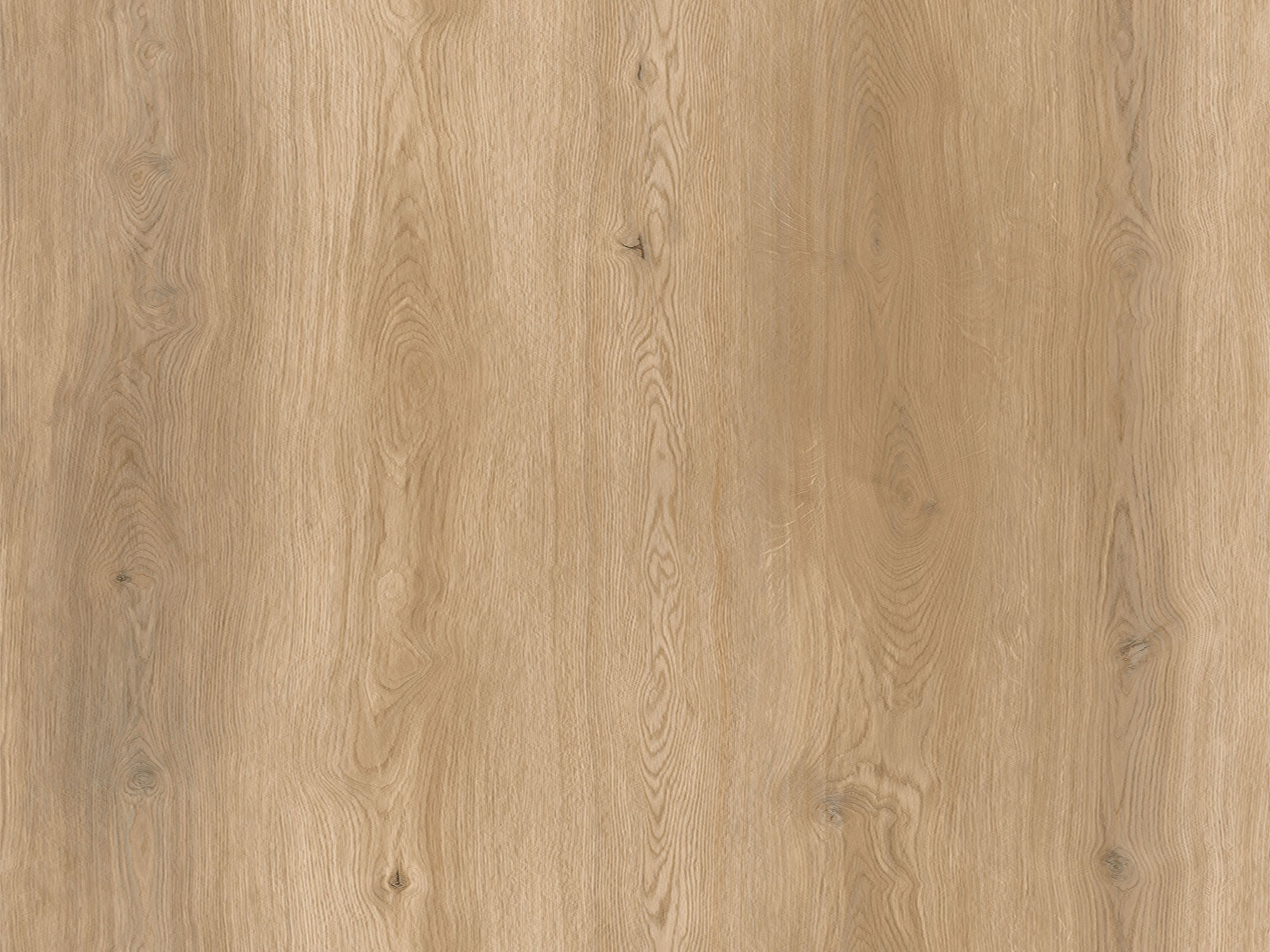 Husk Plank Husk - Image 1